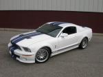 Ford Mustang GT500 by StangNet 2007 года